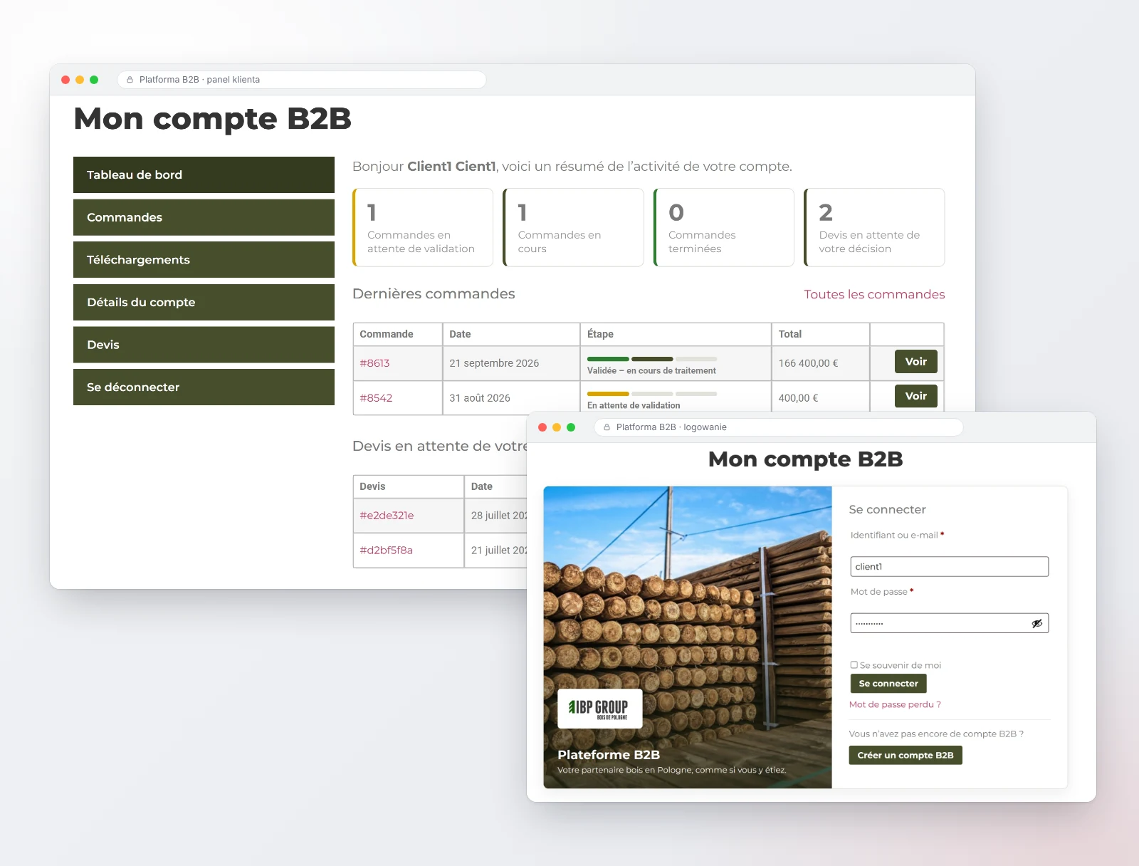 Platforma B2B na WooCommerce — panel klienta i ekran logowania